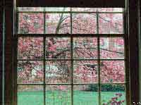 window